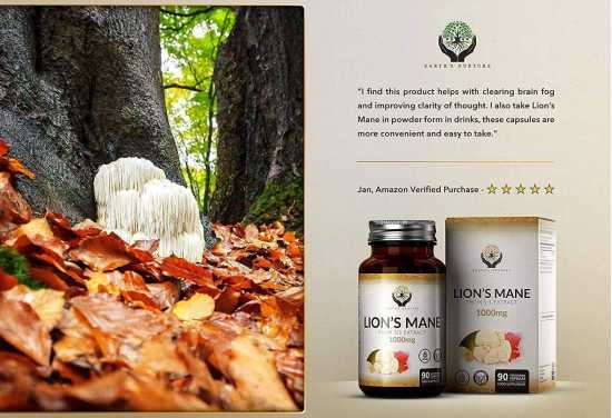 Earth's Lions Mane Mushroom (LMM) Capsules || 5X Concentrated 5:1 Extract 1000mg