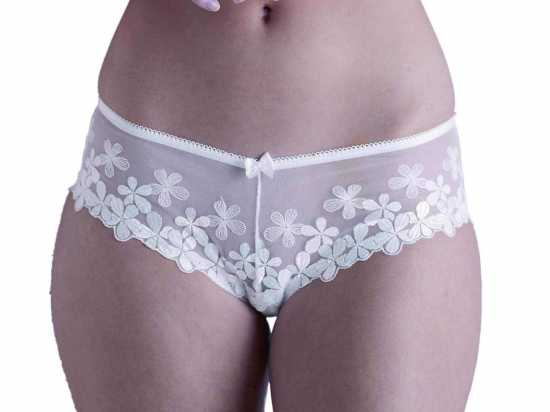 Adore Lingerie [ UK SIZE 16/18 ] 'Falling Blossom' White Hipster Brief (3027)