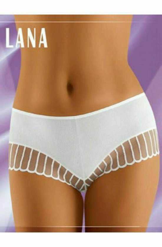 'Wolbar Lingerie' Lana Sheer Detail Brief with Lace ( UK Size 10 )